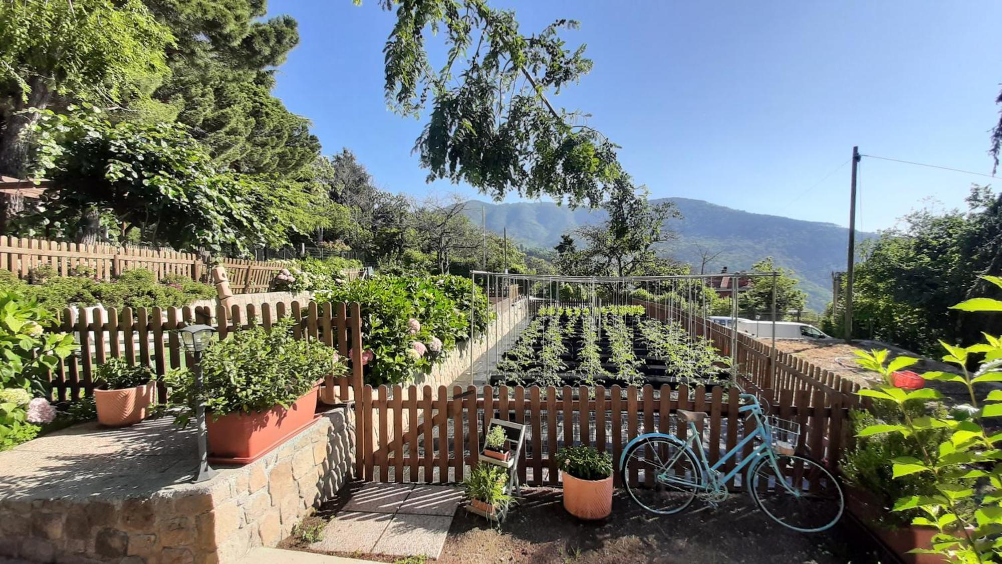 Ca' De Angiolina Villa Sanremo Bagian luar foto